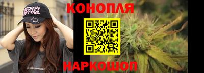 apvp Канаш