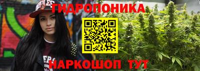 ешки Кандалакша