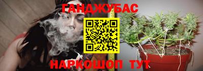 apvp Канаш